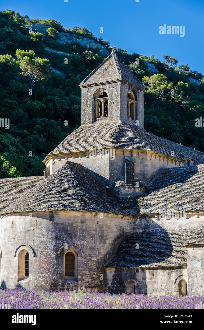 ABBAYE DE SENANQUE, VAUCLUSE 84 FRANCIA Foto Stock