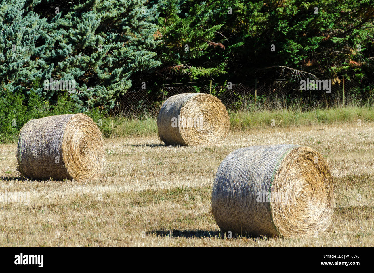 SAULT, BALLOTS DE FOIN, VAUCLUSE 84 FRANCIA Foto Stock