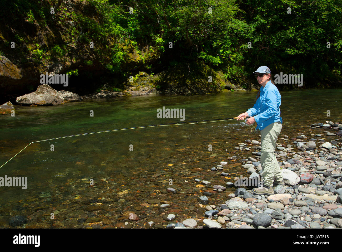La pesca a mosca il fiume di Lewis, Gifford Pinchot National Forest, Washington Foto Stock