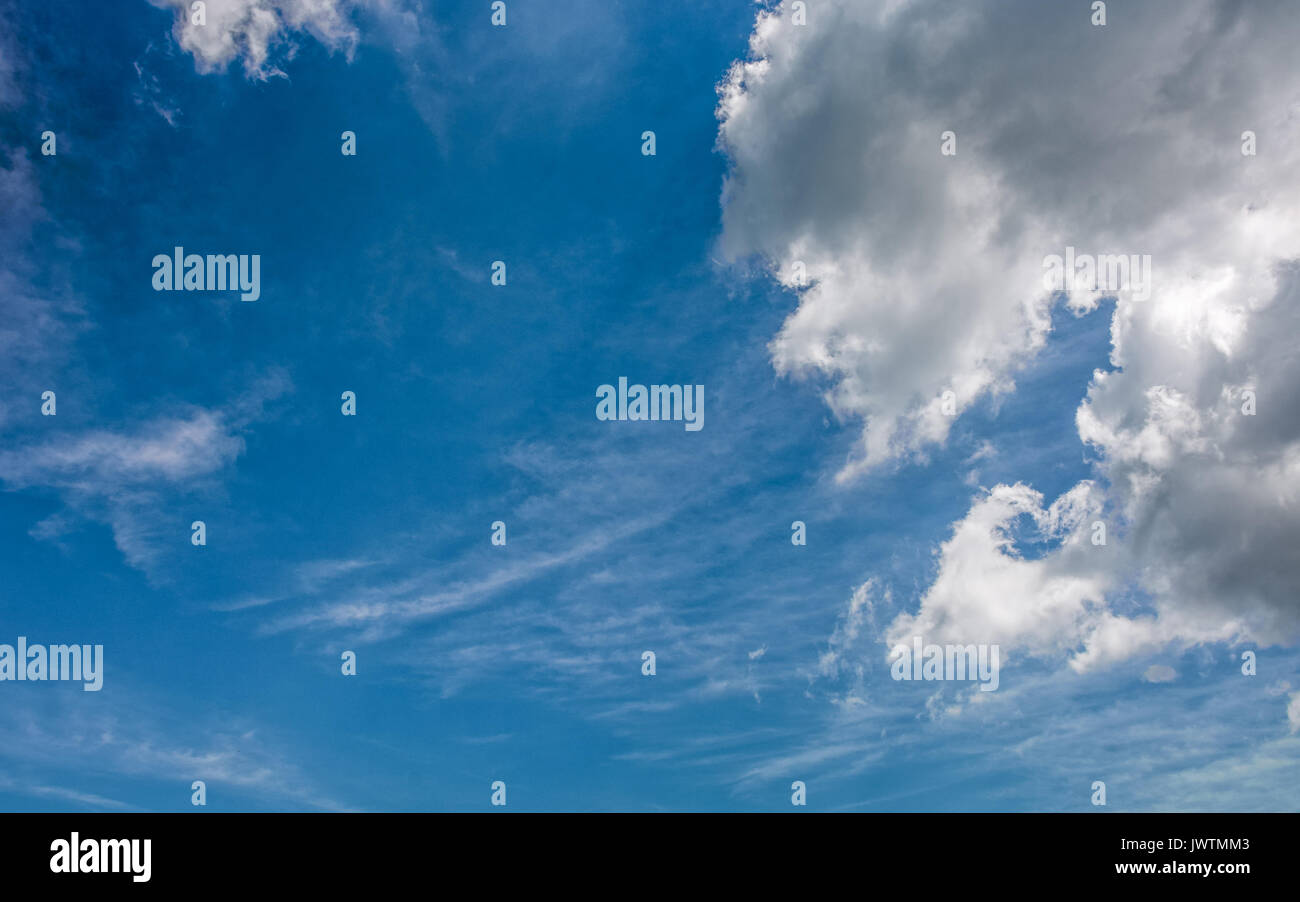 Nuvola grigio su un Cielo di estate blu. drammatico sfondo meteo con dinamica disposizione cloud Foto Stock