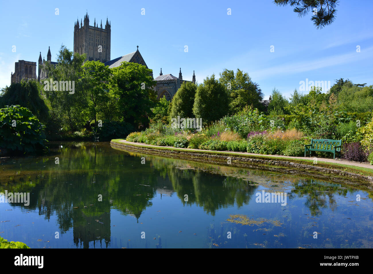 Vista della Cattedrale di Wells dal Palazzo del Vescovo Gardens, pozzi, Somerset, Inghilterra Foto Stock