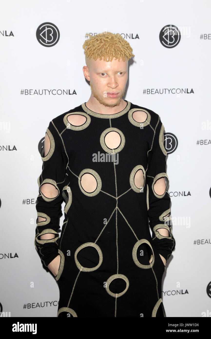 Los Angeles, CA, Stati Uniti d'America. 12 Ago, 2017. LOS ANGELES - agosto 12: Shaun Ross al quinto annuale Beautycon Festival di Los Angeles presso il Los Angeles Convention Center il 12 agosto 2017 a Los Angeles, CA Credito: Kay Blake/ZUMA filo/Alamy Live News Foto Stock