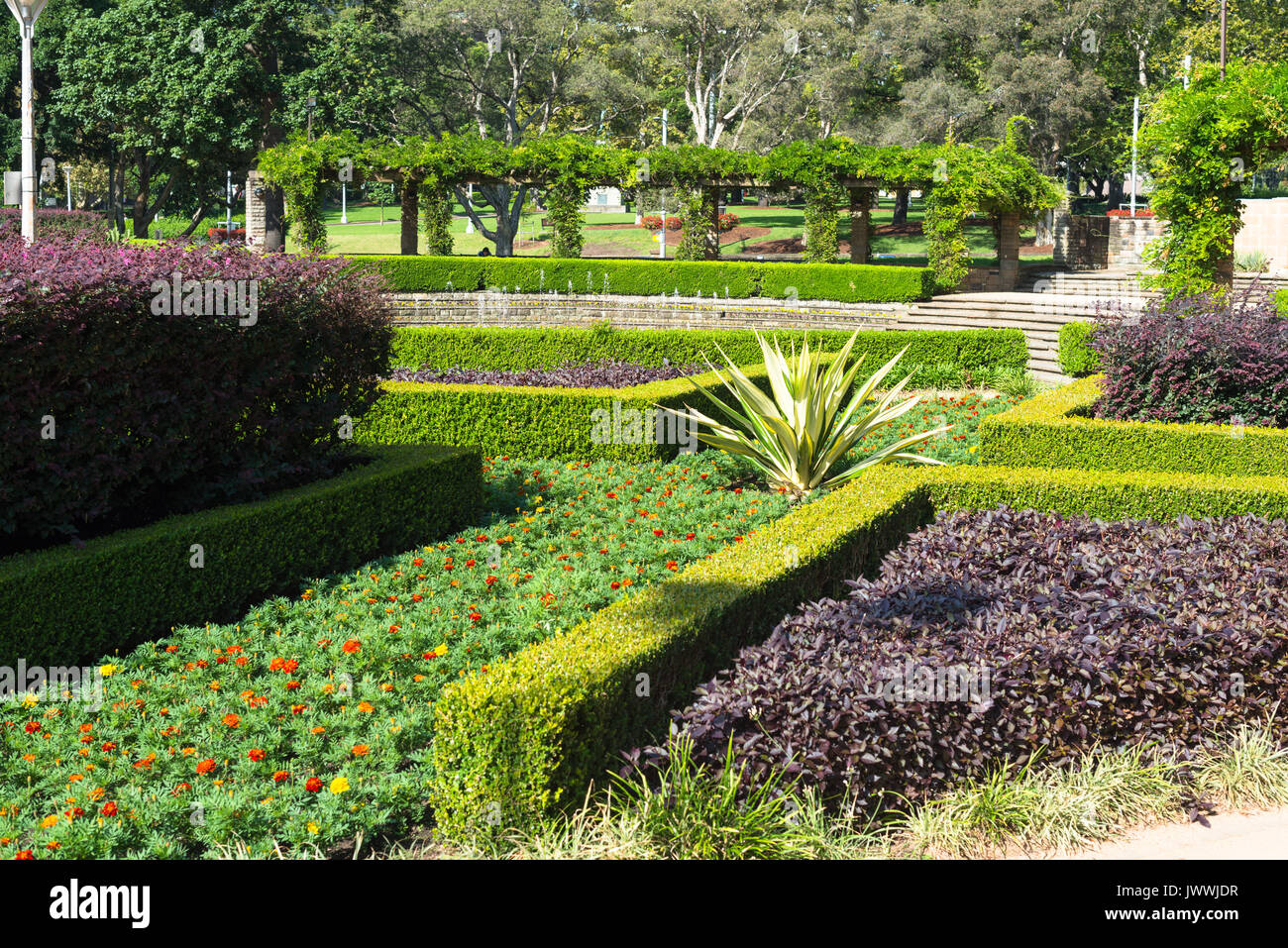Sandringham Gardens, Hyde Park, Sydney, Australia. Foto Stock
