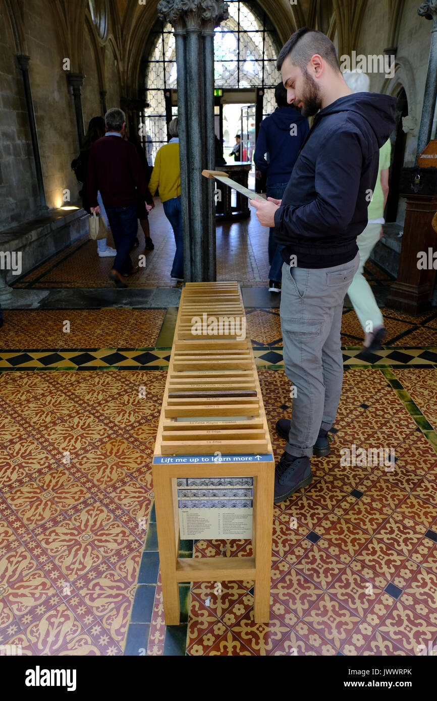 Giovane uomo la lettura di materiale didattico all interno della Cattedrale di Salisbury, Wiltshire, Regno Unito Foto Stock