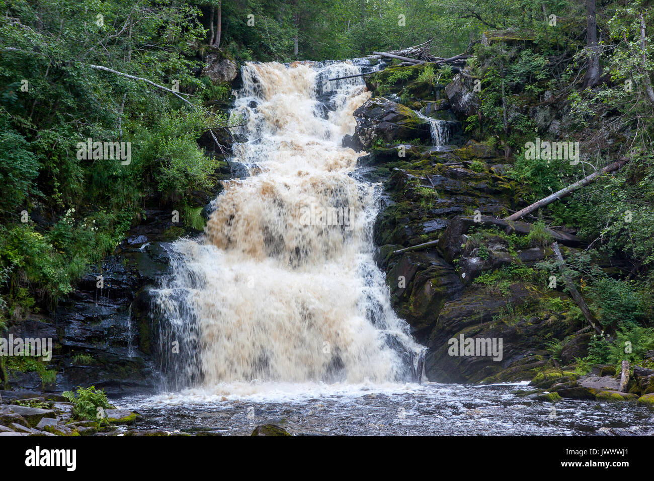 La cascata nel profondo della foresta verde Foto Stock