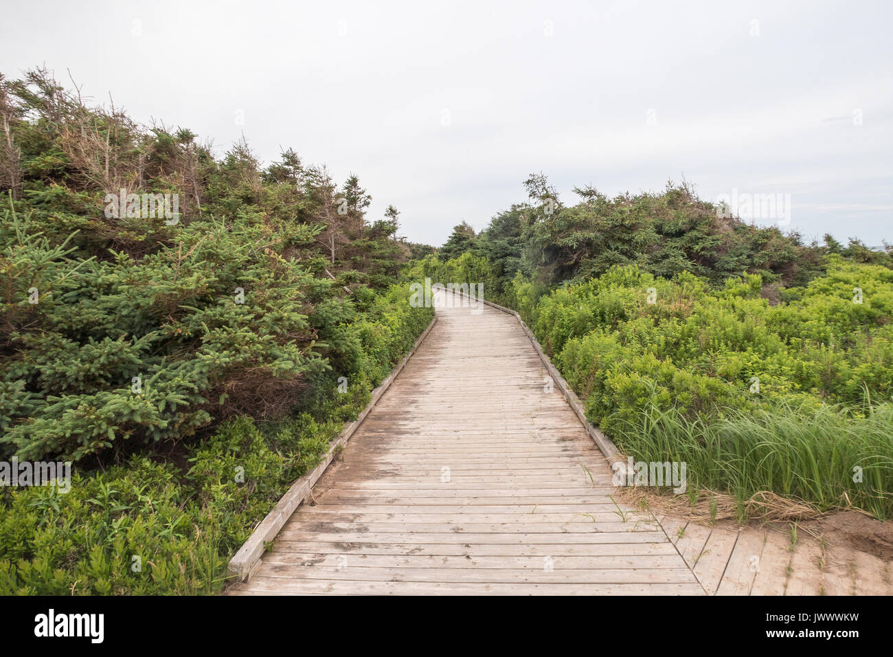 La spiaggia di Robinsons isola su PEI Canada Foto Stock