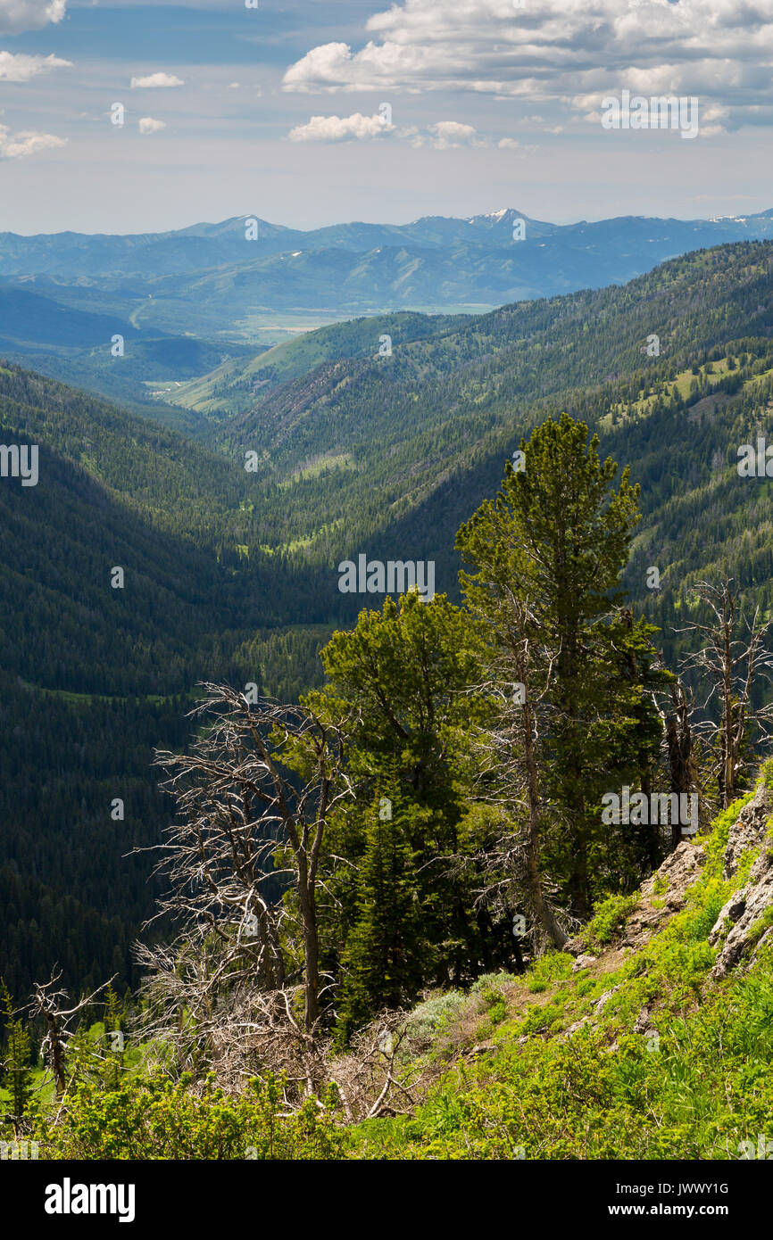 Moose Canyon proteso al di sotto di Phillips passare verso il foro grande montagne ad ovest di Teton Valley, Idaho e i Teton Mountains. Jedediah Smith Wild Foto Stock