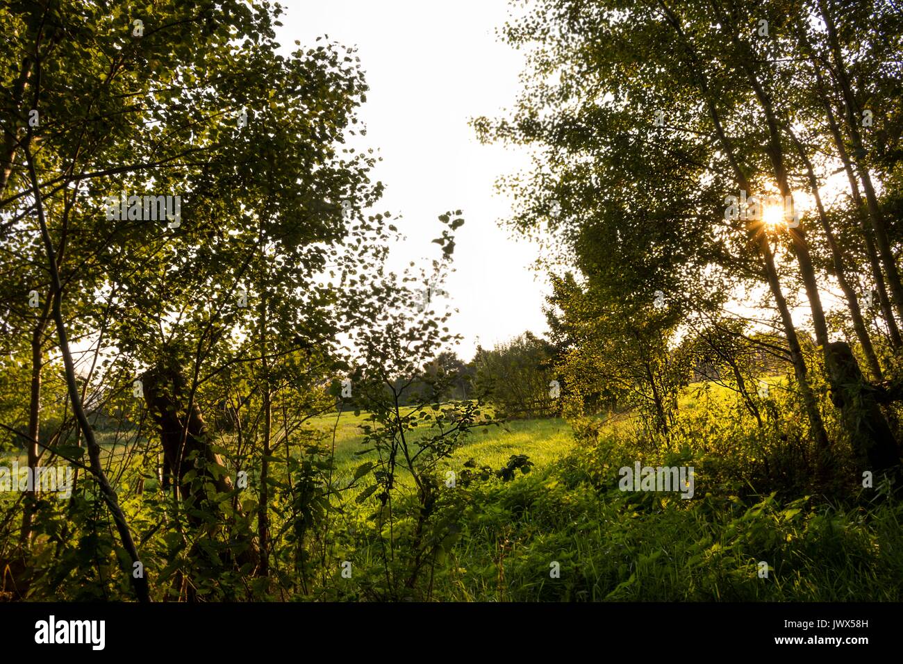 Bella paesaggio Teufelsmoor vicino Brema - Gemany Foto Stock