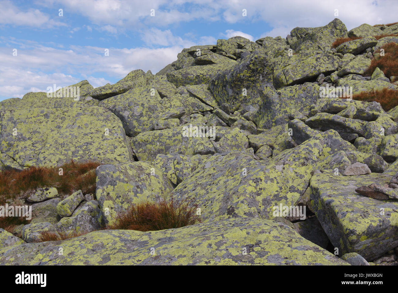 Esecuzione di pietra ricoperte da licheni, Bassi Tatra, Slovacchia Foto Stock