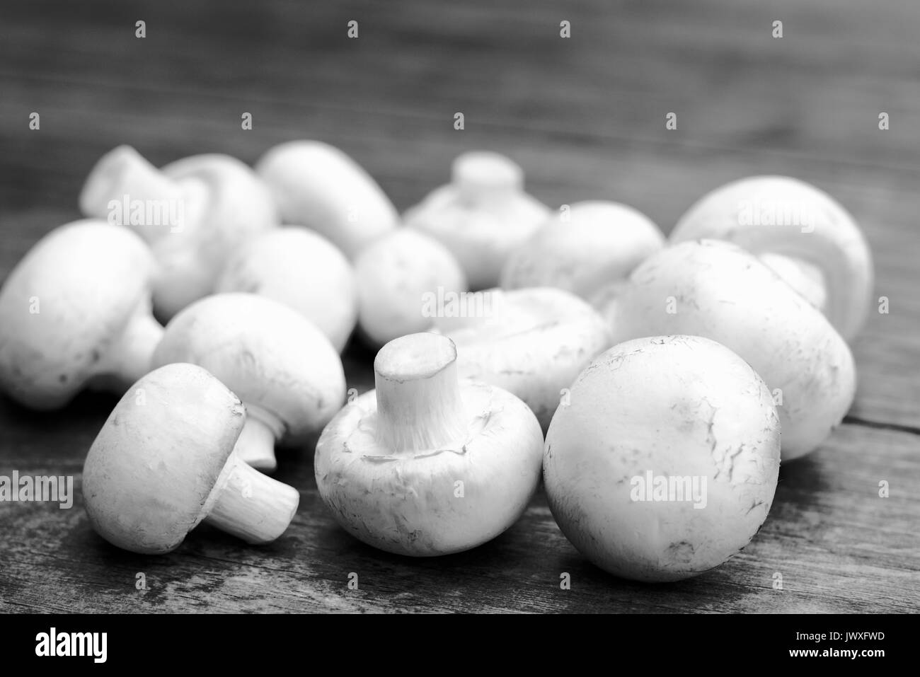 Bianco fresco funghi su una tavola di legno tabella grigia. Foto Stock