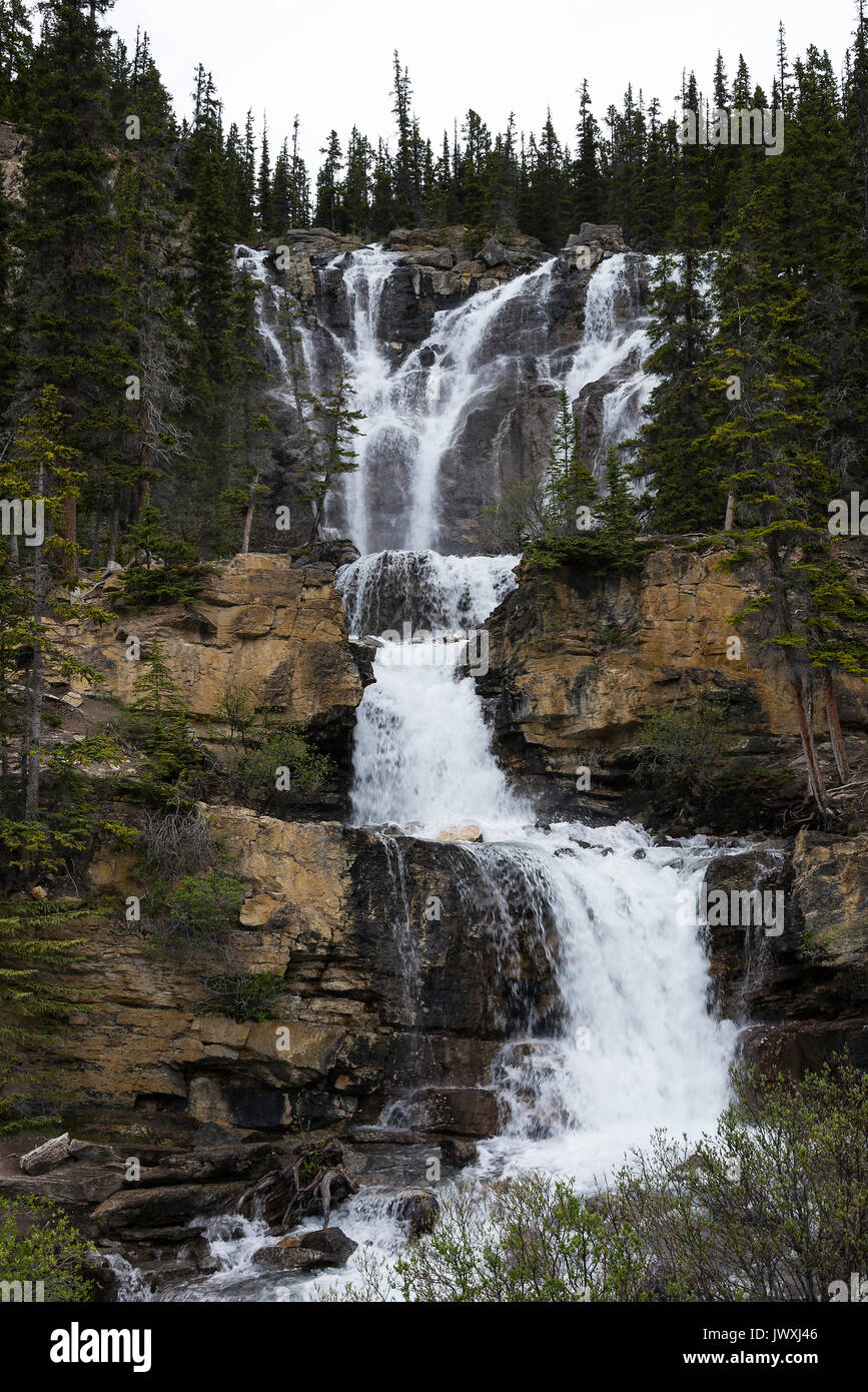 La bellissima groviglio Creek Falls sulla Icefields Parkway vicino a Jasper Alberta Canada Foto Stock