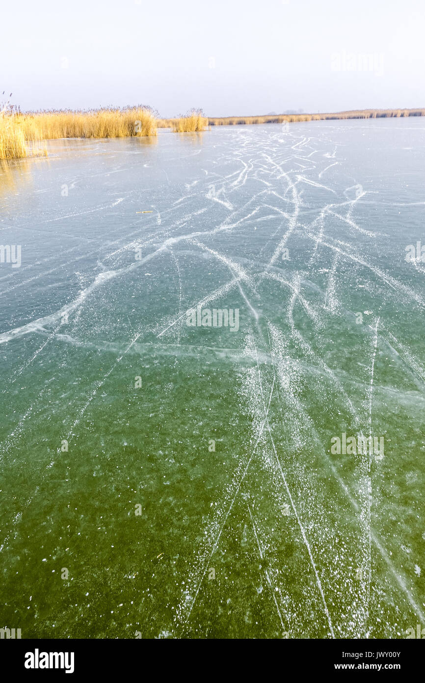 Neusiedler See im Winter, Europas grösster natürlicher Eislaufplatz, Burgenland, Österreich Foto Stock