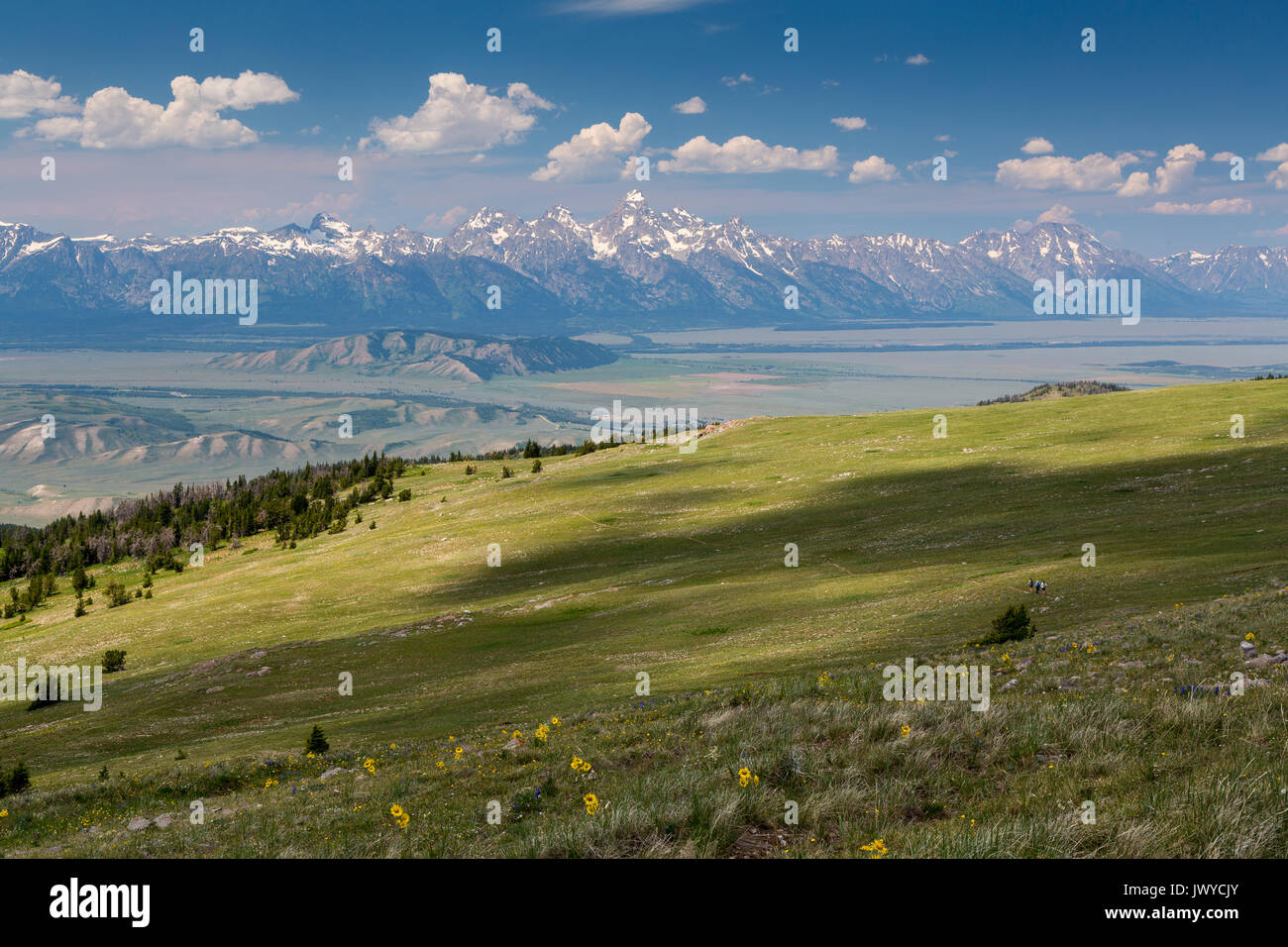 Un gruppo di tre escursionisti scendendo Sleeping indiano del Gros Ventre Monti verso la treeline, affacciato su Jackson Hole e i Teton Mounta Foto Stock