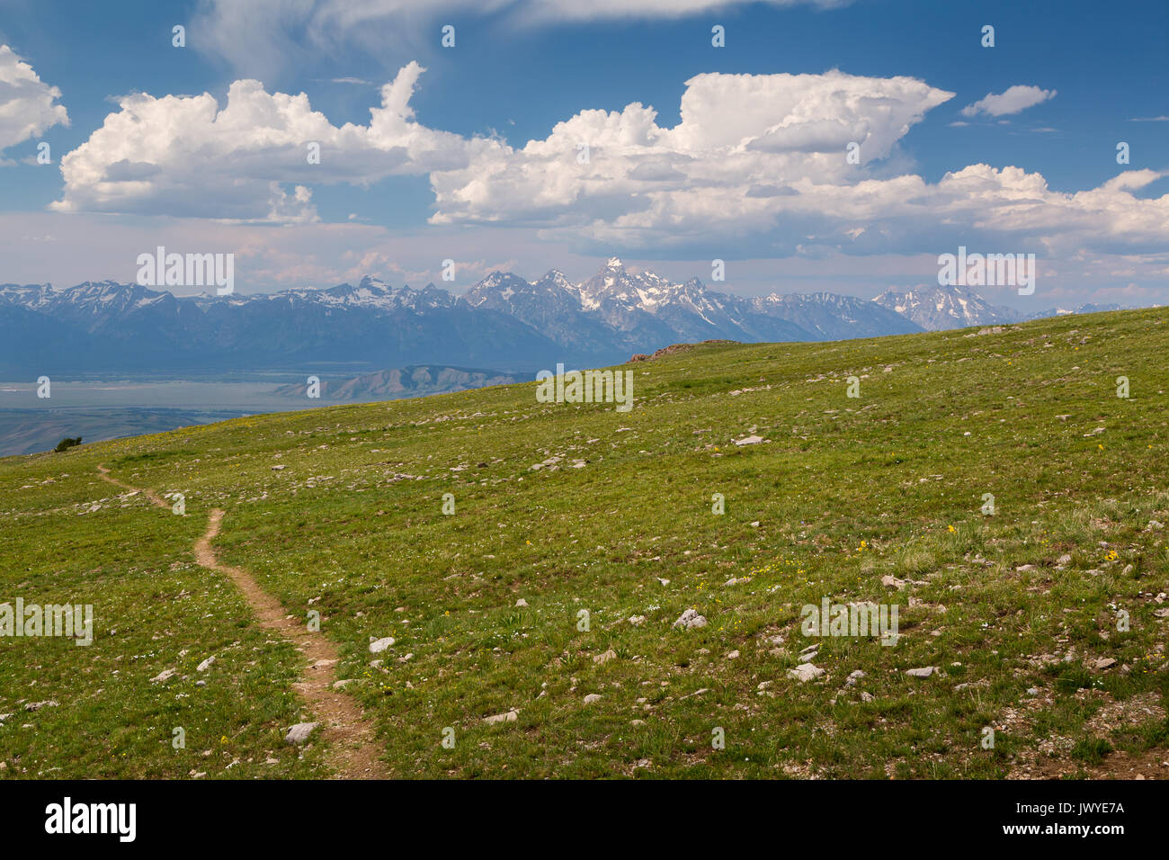 Sleeping Indian sentiero scendendo attraverso la tundra alpina verso la treeline con i Teton Mountains in background. Gros Ventre deserto, Wyo Foto Stock