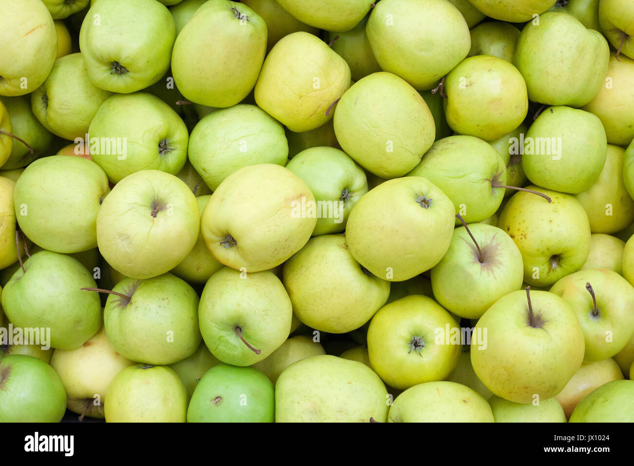 Mele sfondo verde mela materie la frutta e la verdura sfondi prospettiva aerea Foto Stock