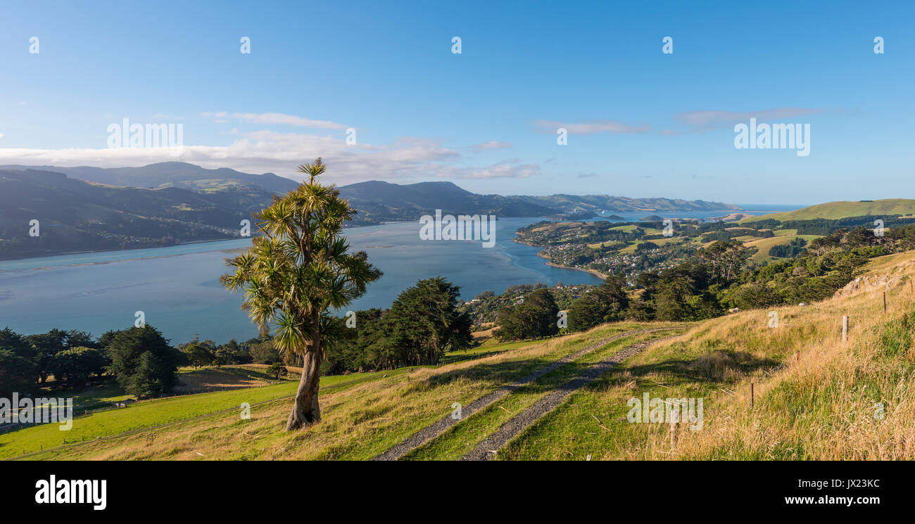 Il paesaggio costiero, porto di Otago, Otago, Isola del Sud, Nuova Zelanda Foto Stock