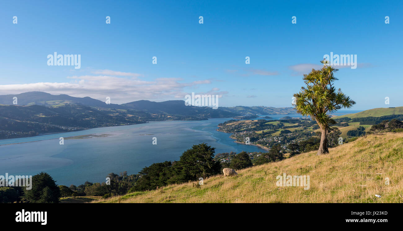 Il paesaggio costiero, porto di Otago, Otago, Isola del Sud, Nuova Zelanda Foto Stock