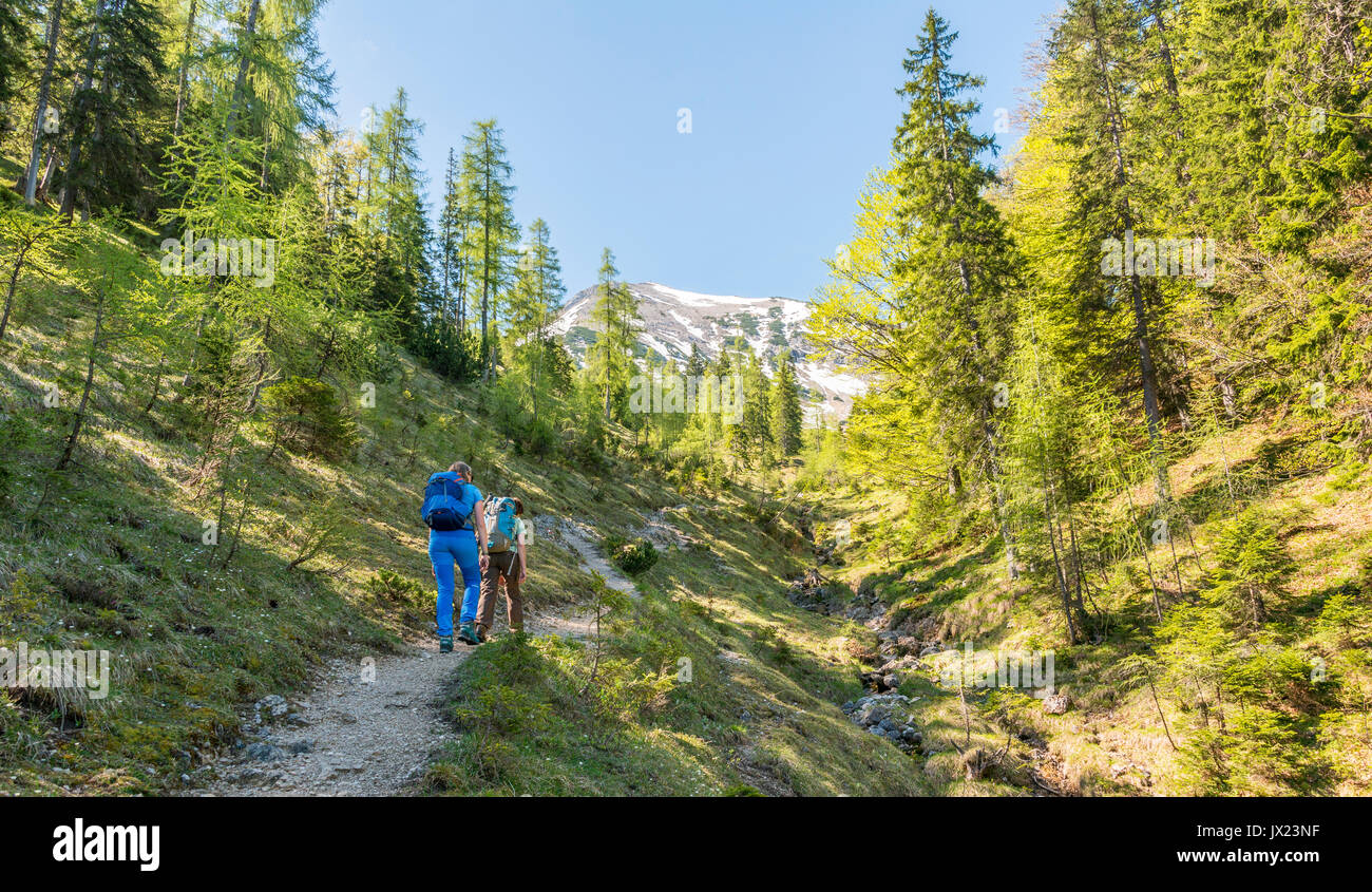 Il sentiero lungo il ruscello bed a Seekarspitze, Tirolo, Austria Foto Stock