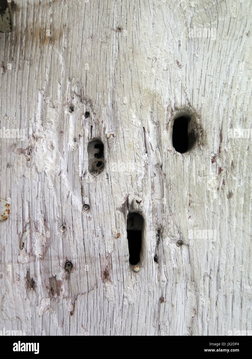 Vecchio usurato porta in legno con grandi fori di nodo Foto Stock