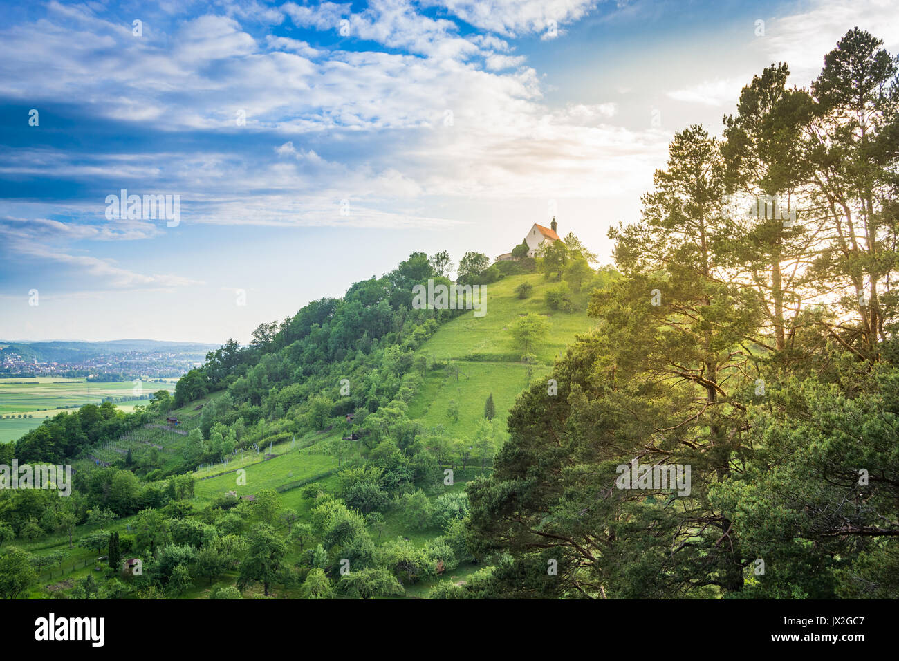Soleggiata giornata estiva con vigneti e la Cappella Wurmlinger Foto Stock