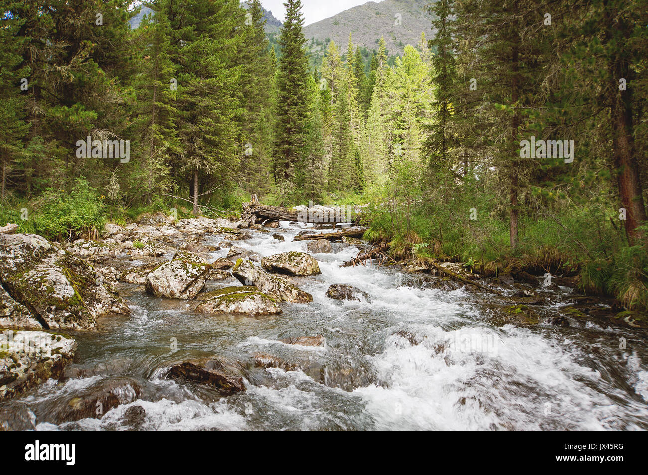 Molto bella potente cascata in Norvegia con l'acqua. Forte corrente sul veloce fiume di montagna Foto Stock