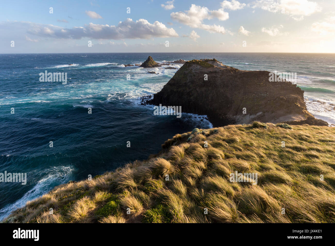 Viste spettacolari lungo la costa e oltre Bass Strait a Cape Woolamai Riserva Naturale, Victoria, Australia Foto Stock