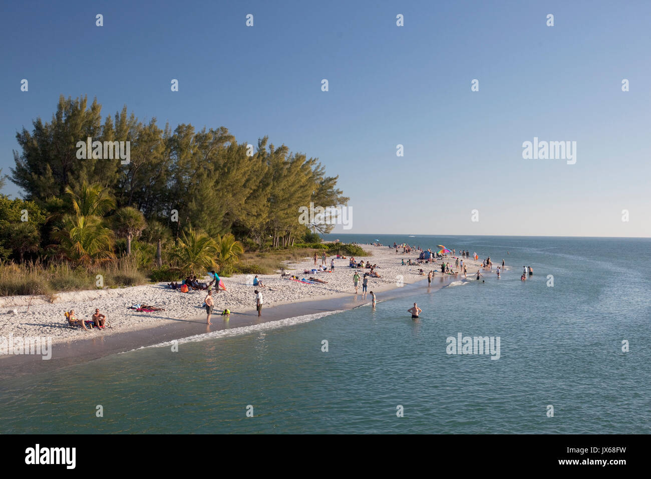 Sanibel Island, spiaggia della Florida Foto Stock