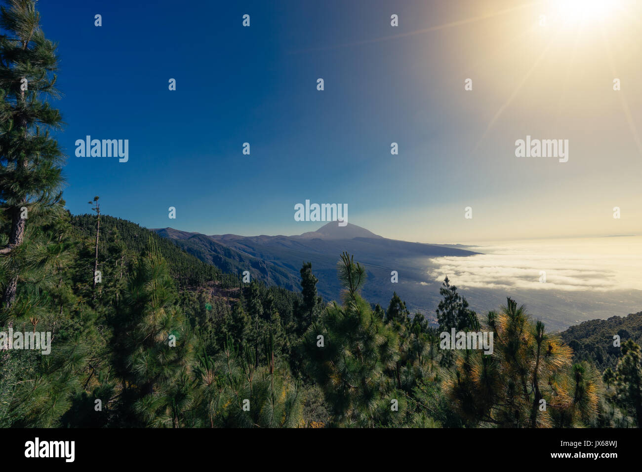 Parco Nazionale del Teide a Tenerife Foto Stock