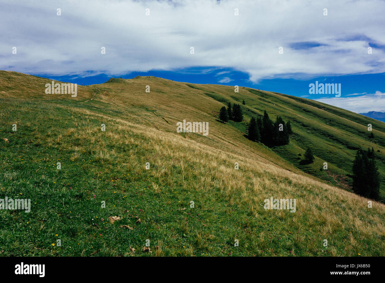 Escursioni sul Nagelfluhkette nelle alpi tedesche su una domenica pomeriggio Foto Stock