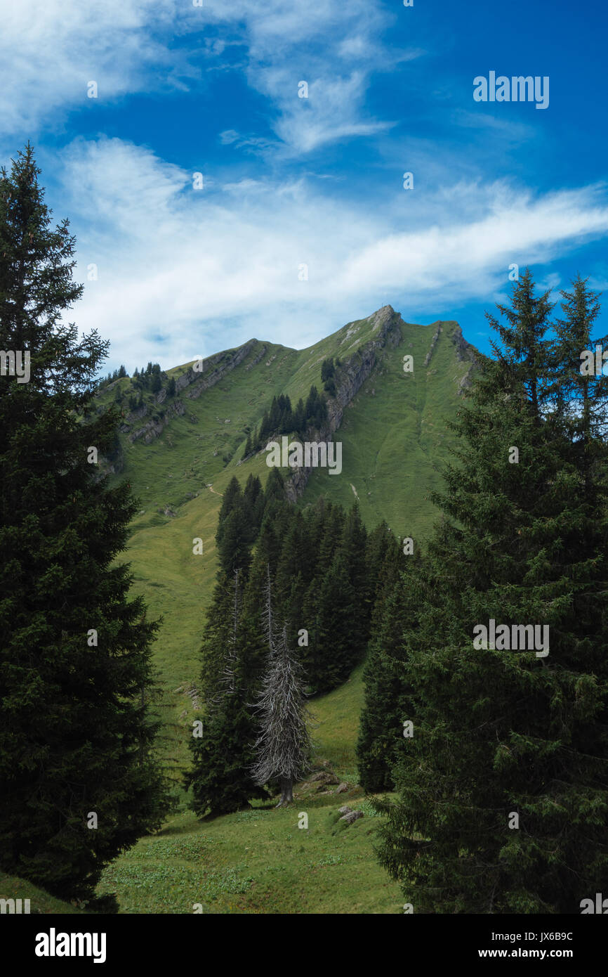 Escursioni sul Nagelfluhkette nelle alpi tedesche su una domenica pomeriggio Foto Stock