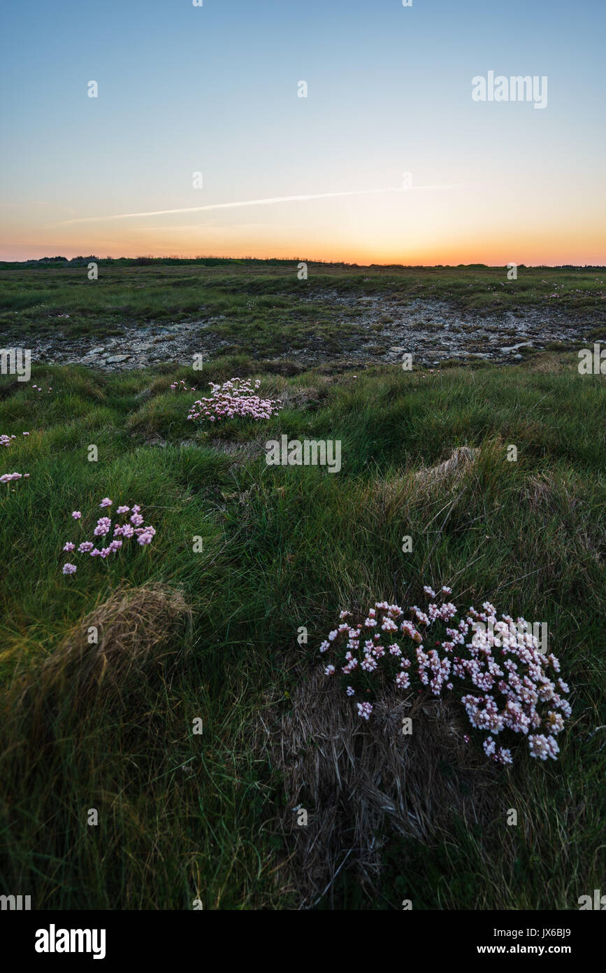 Escursione Costiera alla sunrise in Quiberon in Bretagna, Francia, su una mattina di primavera Foto Stock