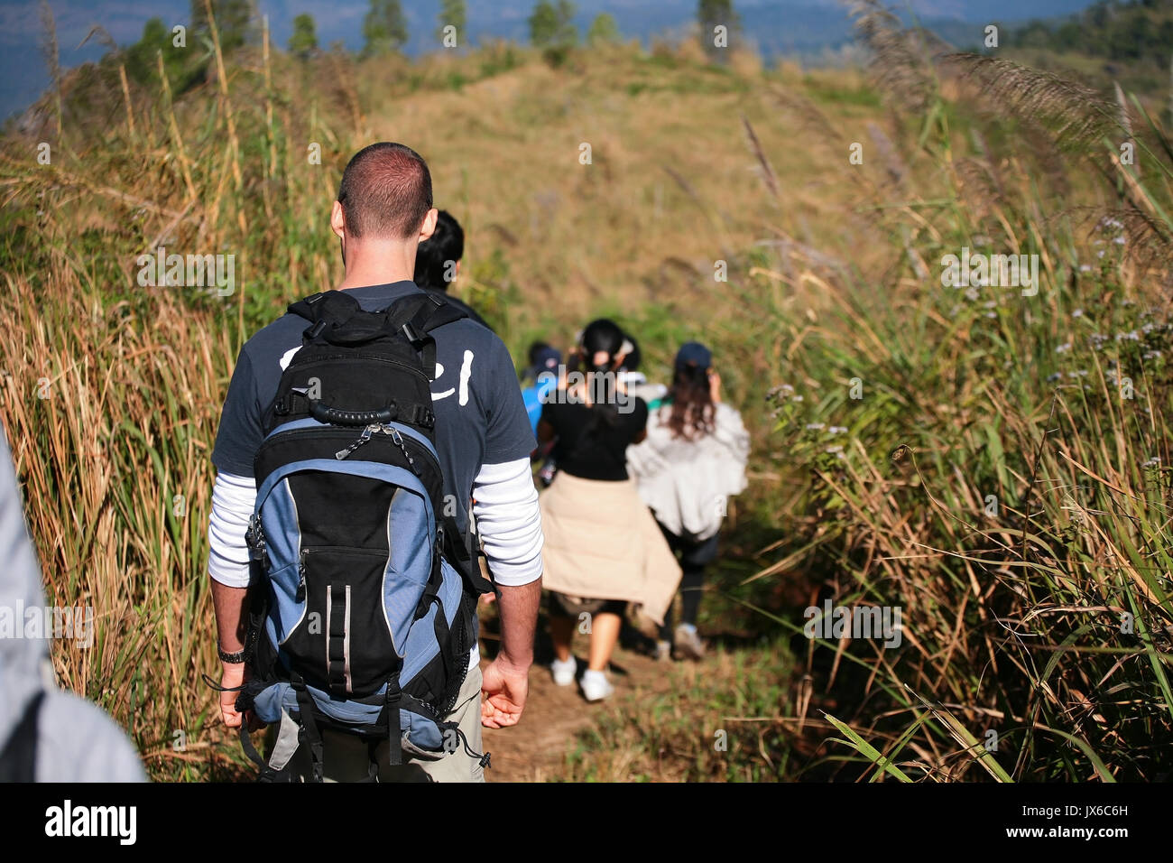 Gli escursionisti di arrampicata e trekking tra le montagne di Phu Kradueng, Loei provincia ,Thailandia Foto Stock