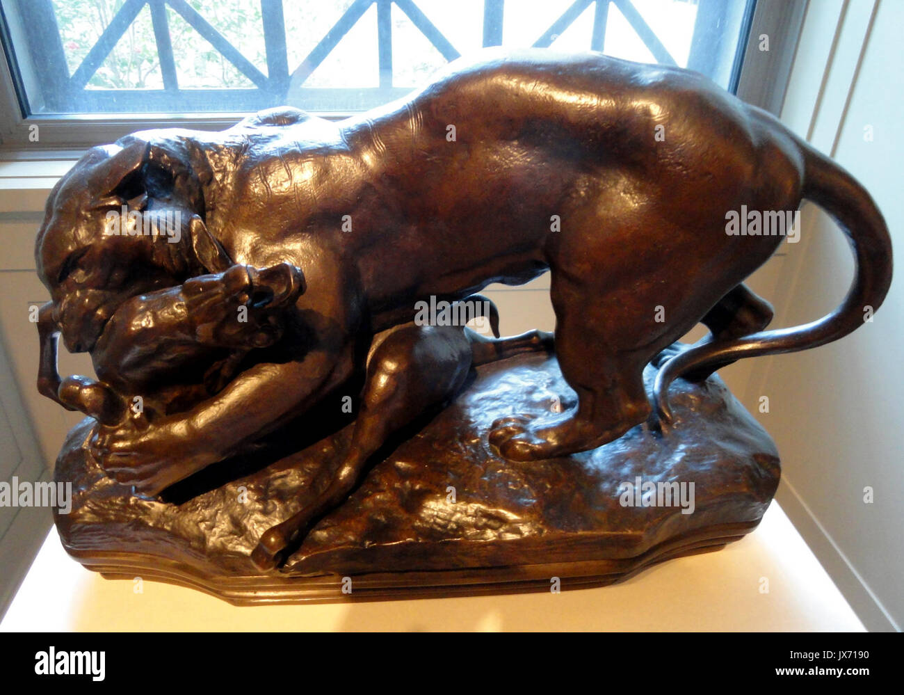 Tiger sorprendente un antilope, da Antoine Louis Barye, modello c 1831, cast dopo il 1855, bronzo National Gallery of Art di Washington DSC08720 Foto Stock