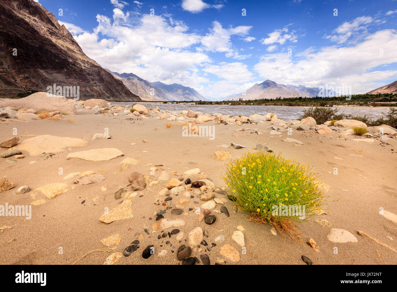 Rive del Fiume Nubra nella Valle di Nubra in Ladakh regione del Kashmir, India Foto Stock