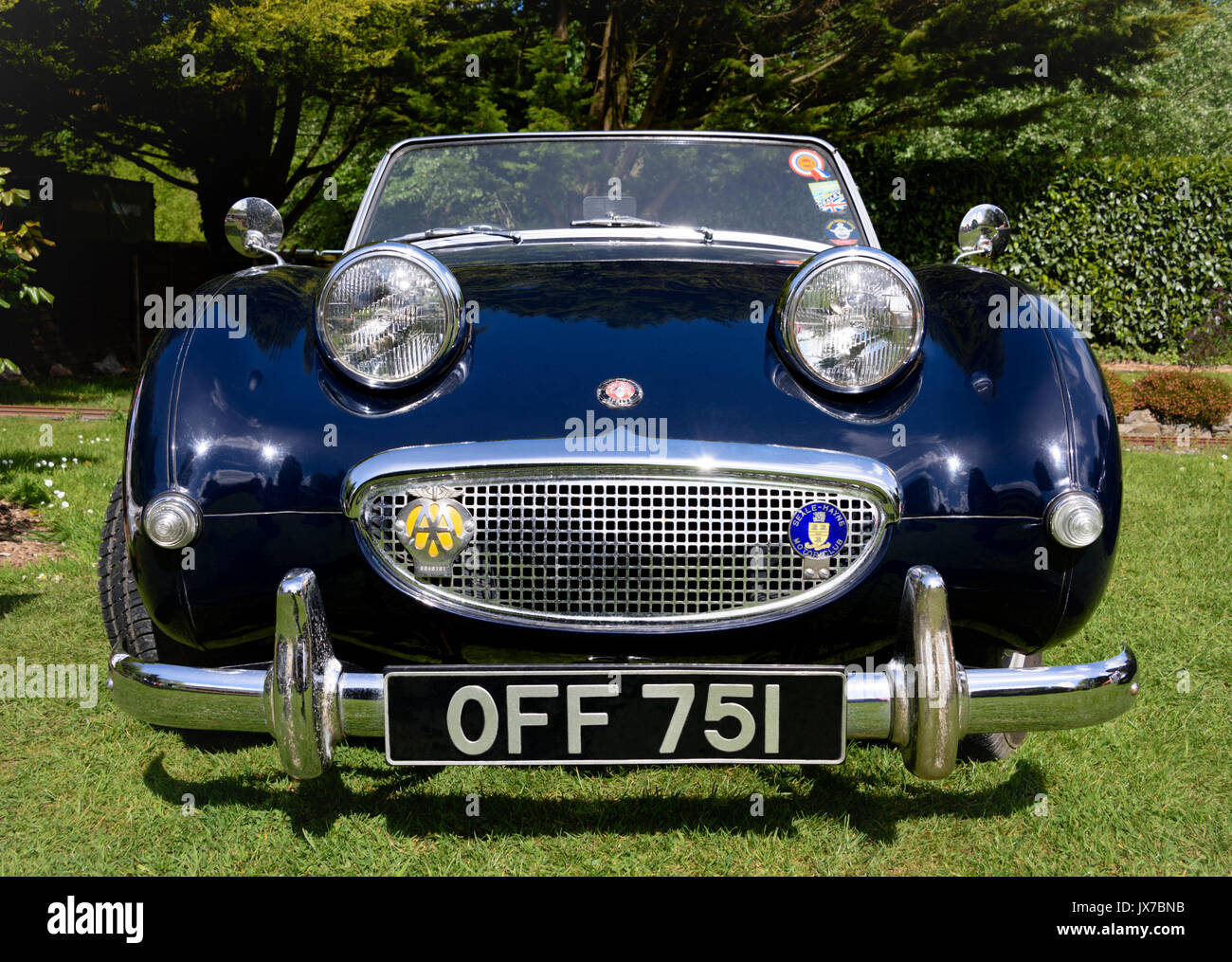 A basso angolo, vista di testa di un Austin-Healey Sprite Mark Ho sul display in un ambiente da giardino Foto Stock