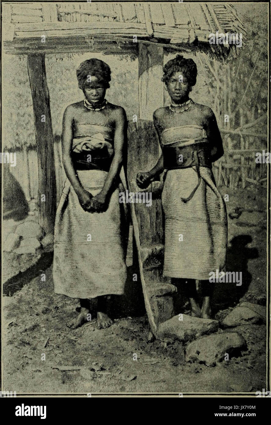 "I viaggi effettuati dalla sieur D.B. alle isole Dauphine o Madagascar & Bourbon o Mascarenne negli anni, 1669, 70, 71 & 72' (1897) Foto Stock