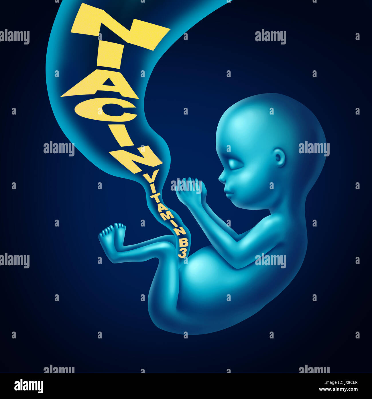 Niacina vitamina B3 gravidanza salute supplemento multivitaminico per prevenire difetti alla nascita e aborti come un feto dentro la gravidanza di una madre. Foto Stock