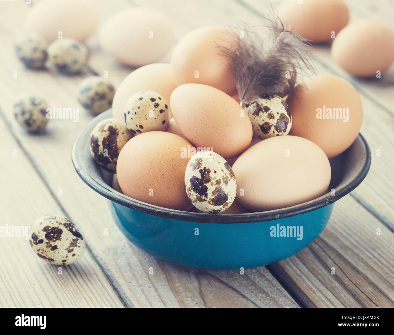 Uova di pollo e quaglie farm in una ciotola di metallo. Bello e pulito e tonificante . Foto Stock