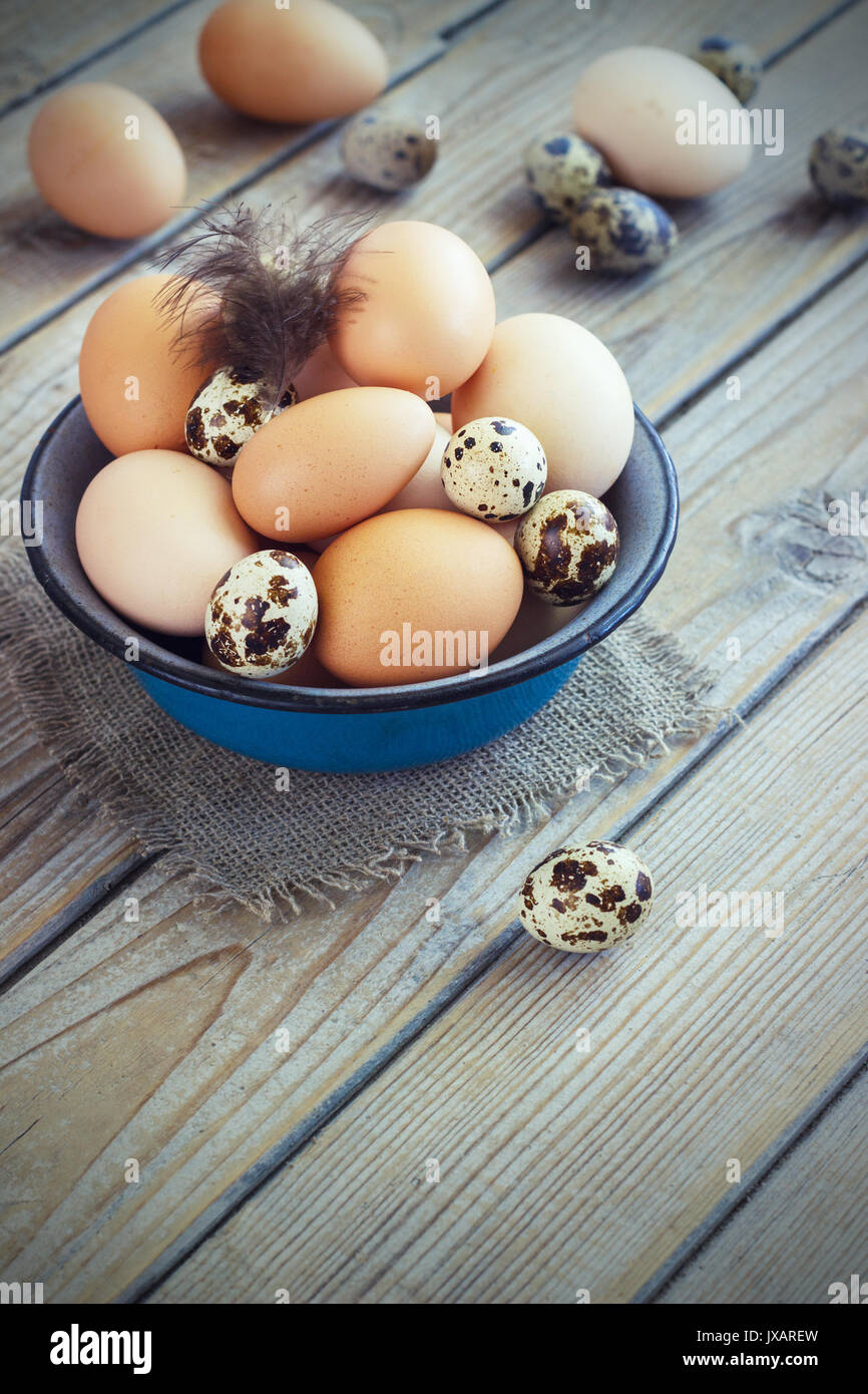 Uova di pollo e quaglie farm in una ciotola di metallo. Foto Stock