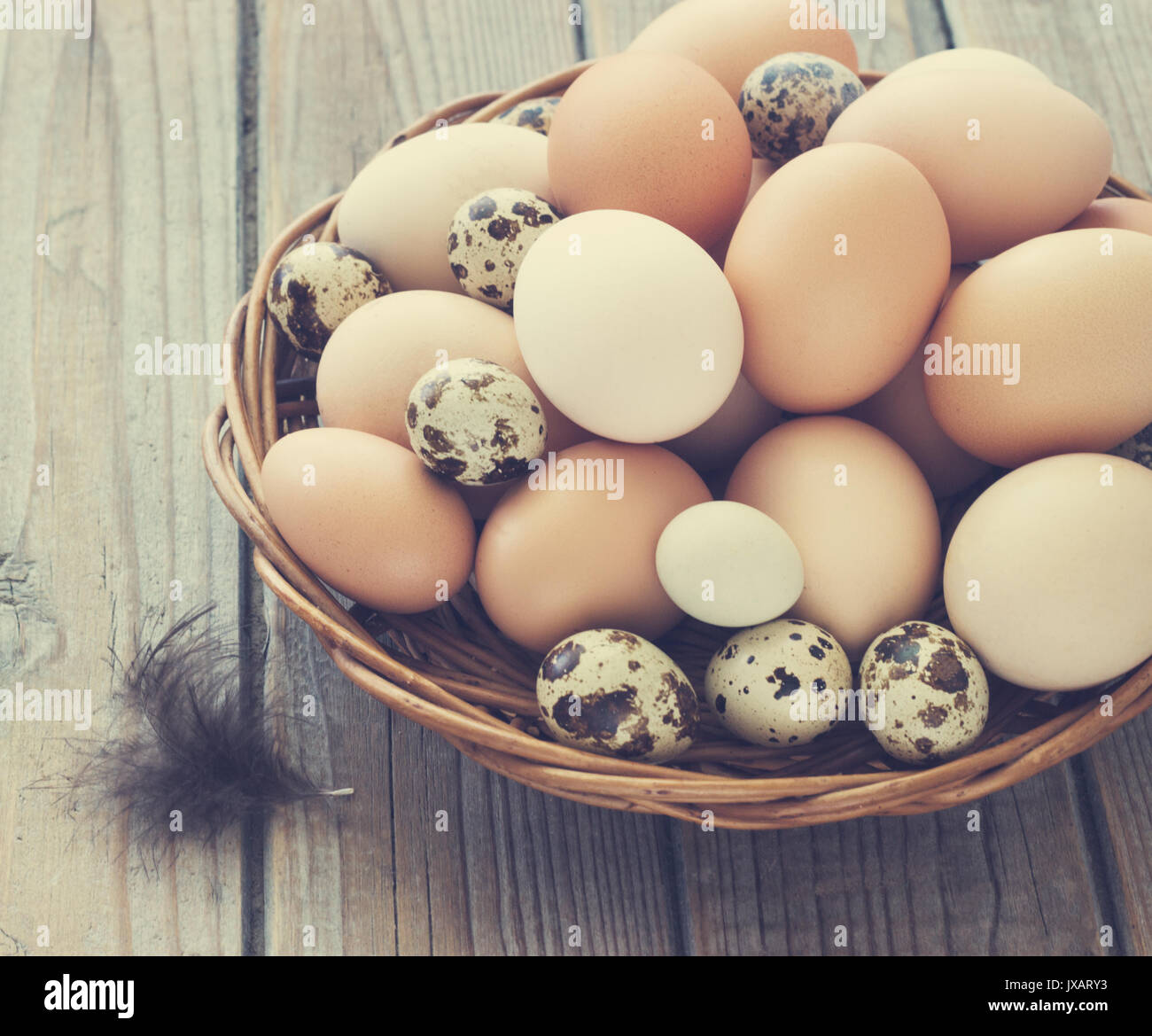 Uova di pollo e quaglie farm in un cesto di vimini. Bello e pulito e tonificante . Foto Stock