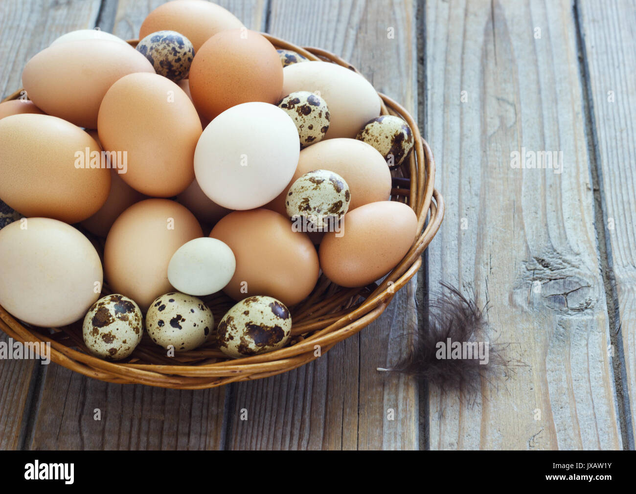 Uova di pollo e quaglie farm in un cesto di vimini. Foto Stock