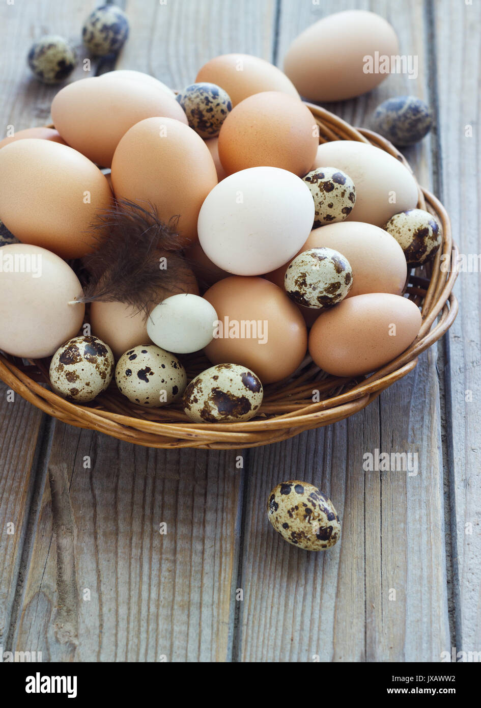 Uova di pollo e quaglie farm in un cesto di vimini. Foto Stock
