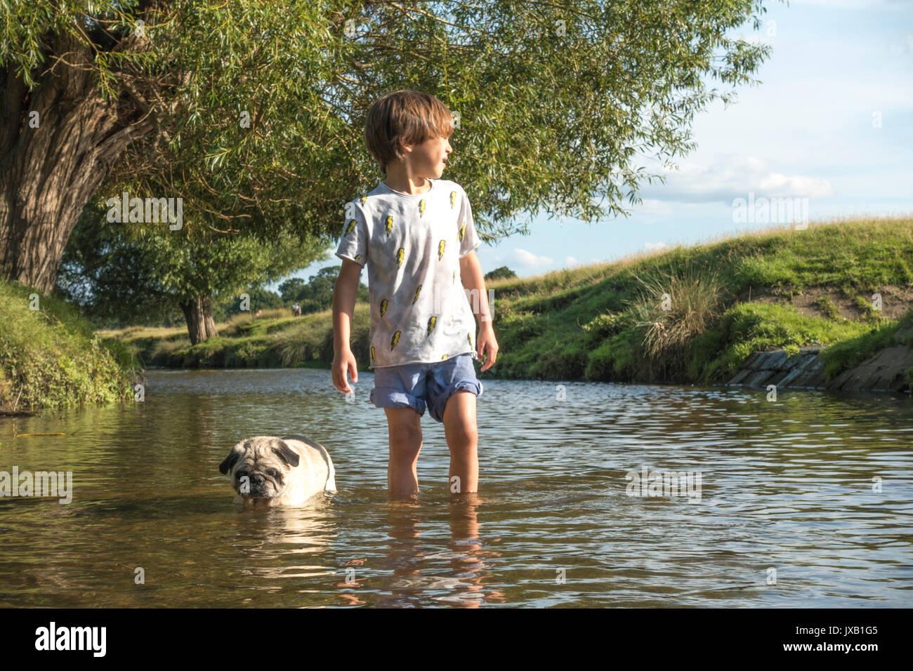 Ragazzo del cane e di riprodurre in streaming Foto Stock