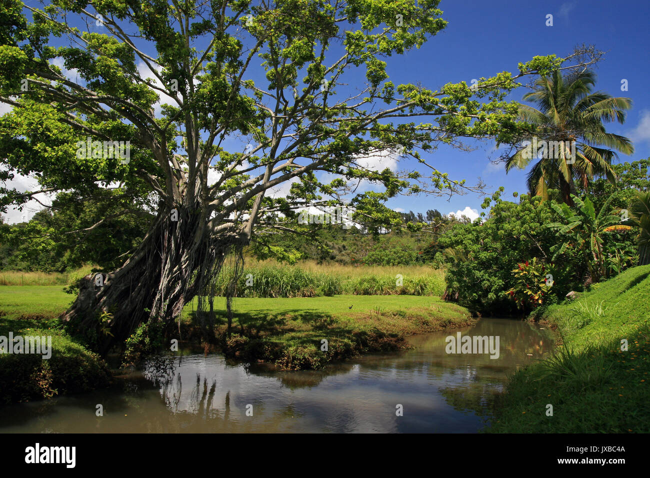 Isola di Kauai, Hawaii, STATI UNITI D'AMERICA Foto Stock