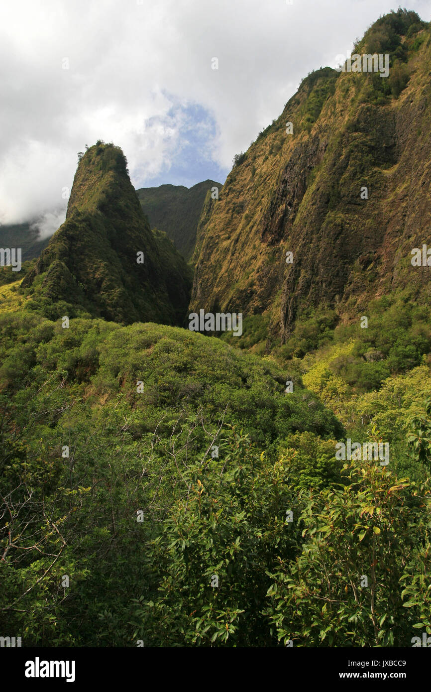 La Iao ago (salita 370 m dalla Iao valley), Maui, Hawaii, STATI UNITI D'AMERICA Foto Stock