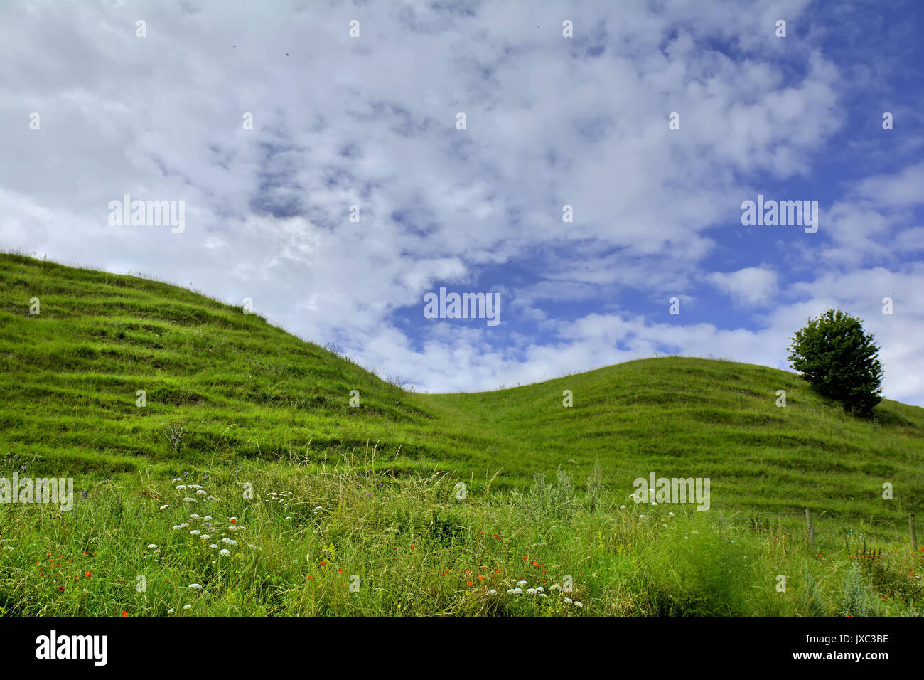 Ales Sten e luogo storico della Svezia Foto Stock