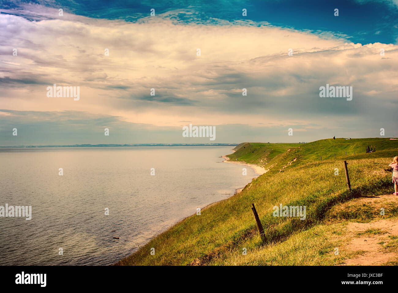 Ales Sten, un luogo storico in Svezia Foto Stock