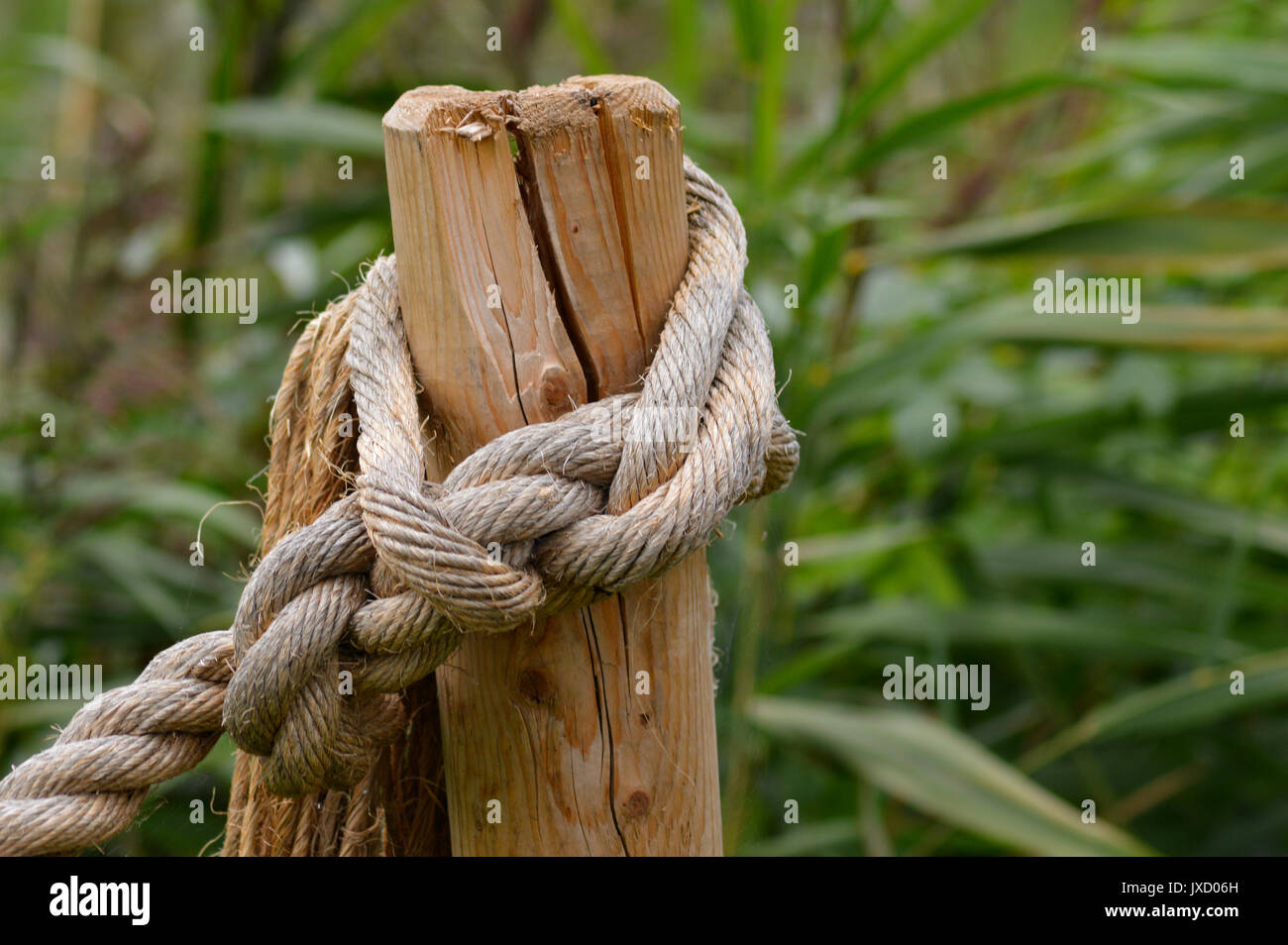 Corda annodata su un paletto di legno Foto Stock