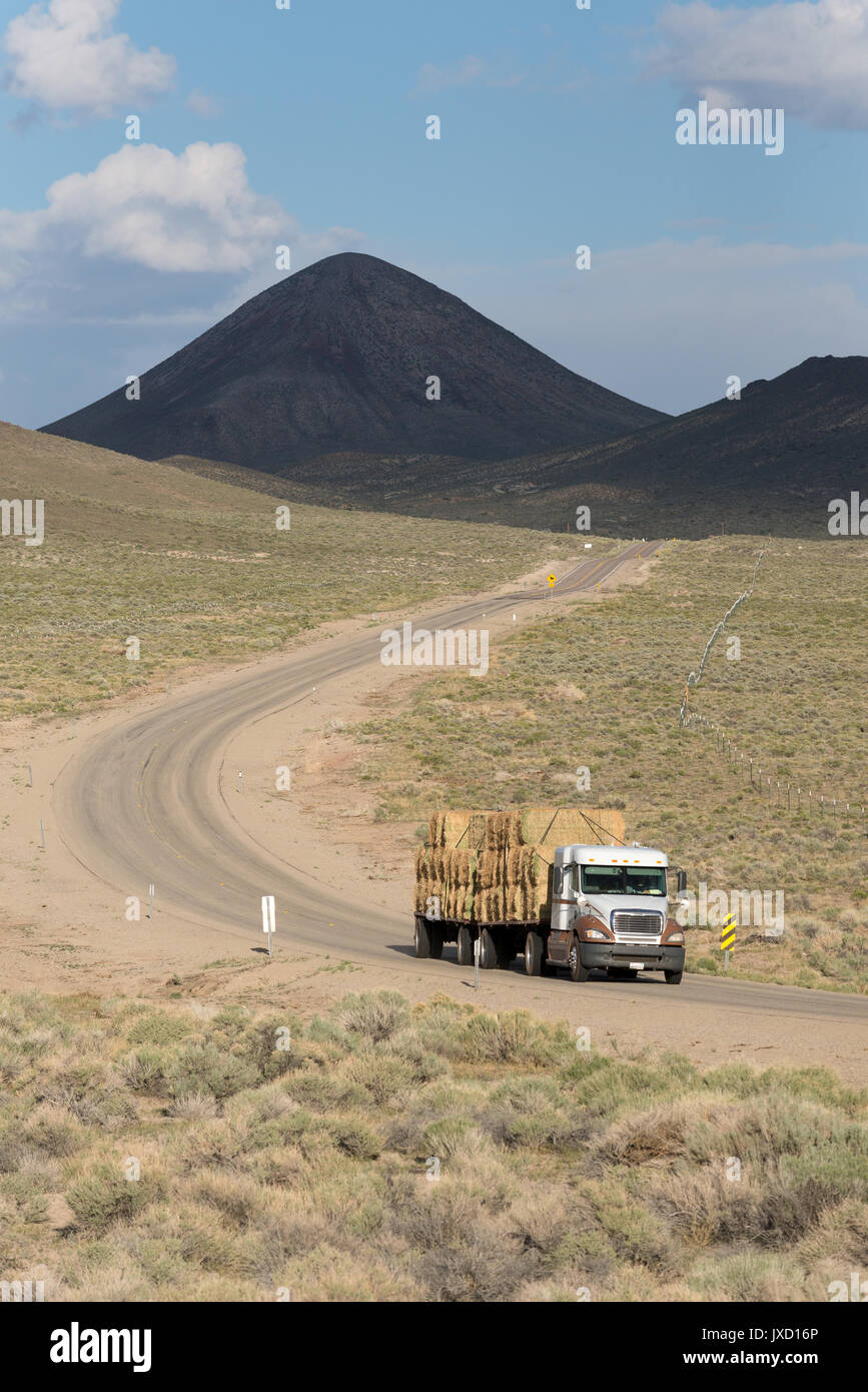 Carrello con fieno sotto Saulsbury Vertice sulla Highway 6 in Nevada. Foto Stock