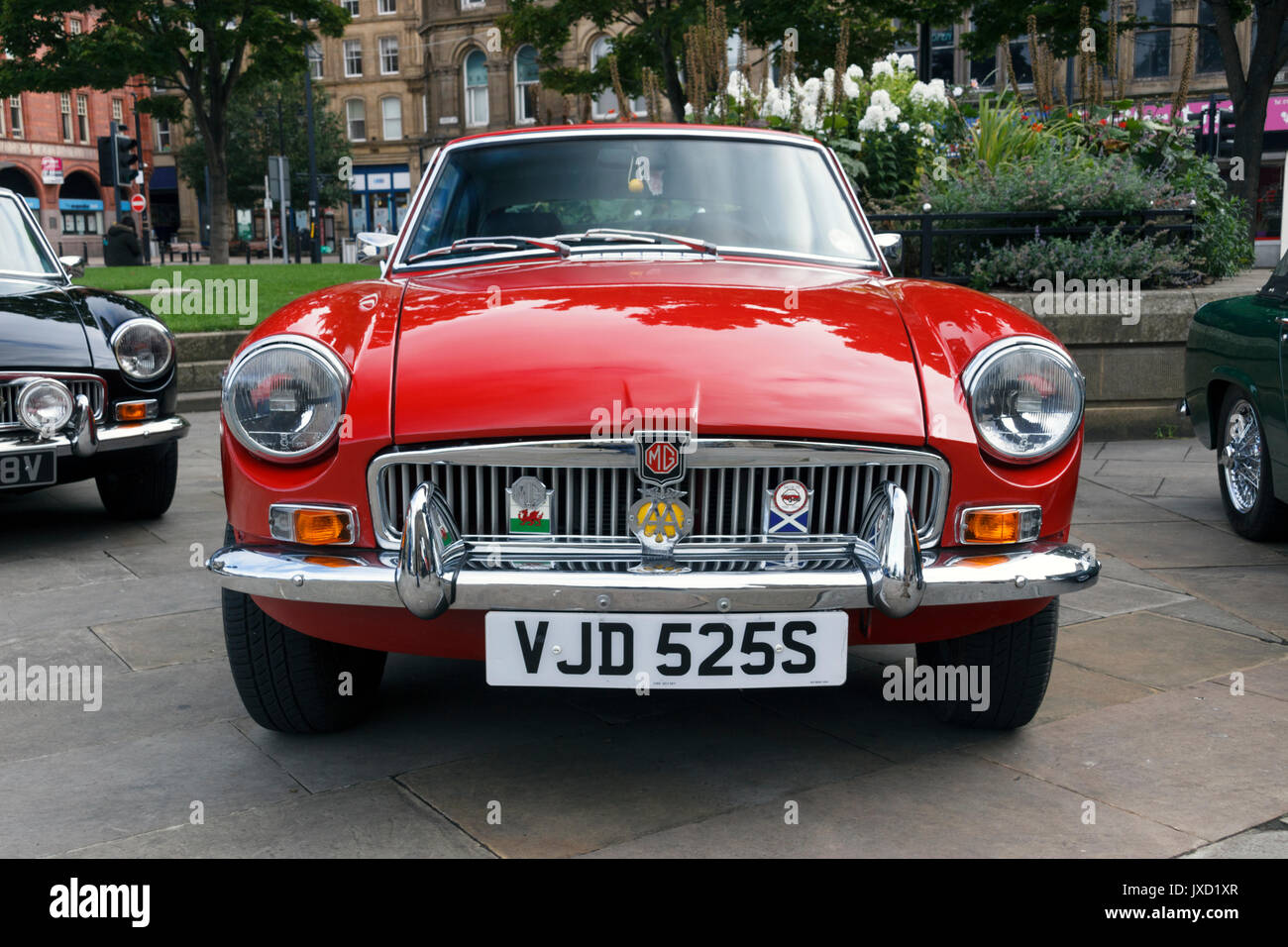 MGB GT Foto Stock